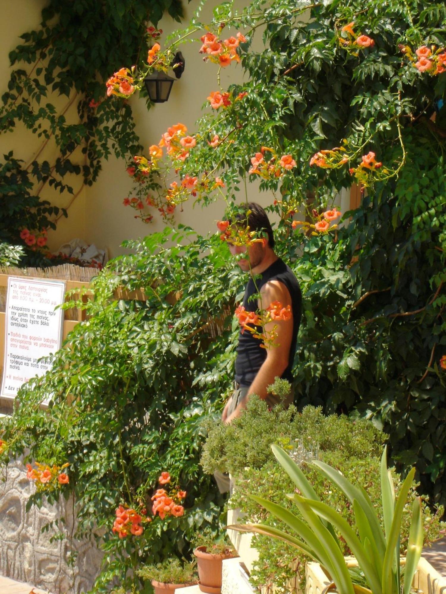 Hotel Afea Agia Marina  Buitenkant foto